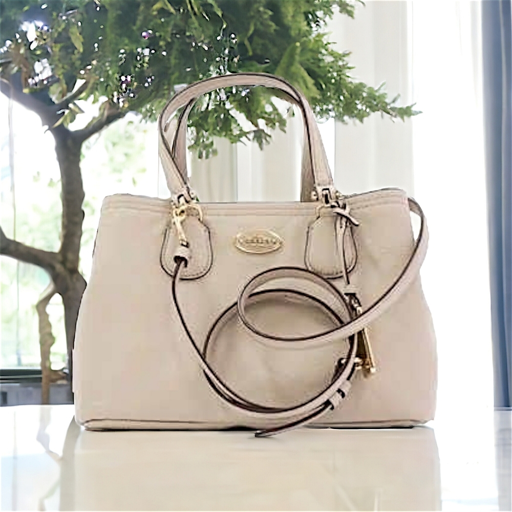 COACH Kitt Carryall Bag